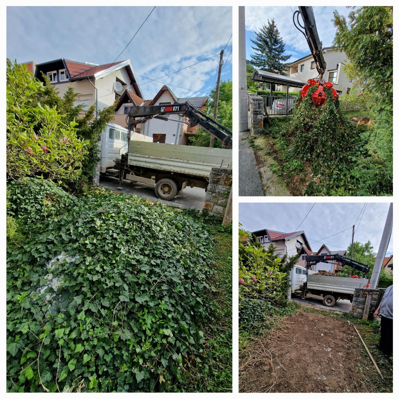 Odvoz građevinskog otpada preko kojeg je bršljenÂ narastao