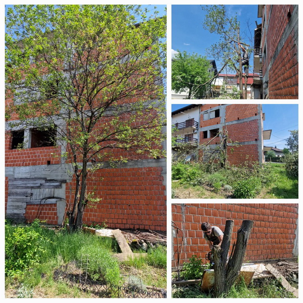 Rušenje stabla Zagreb