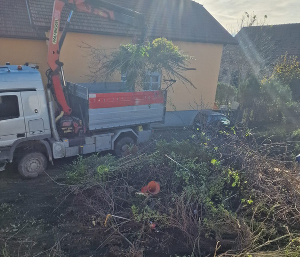Odvoz bio zelenog otpada granja