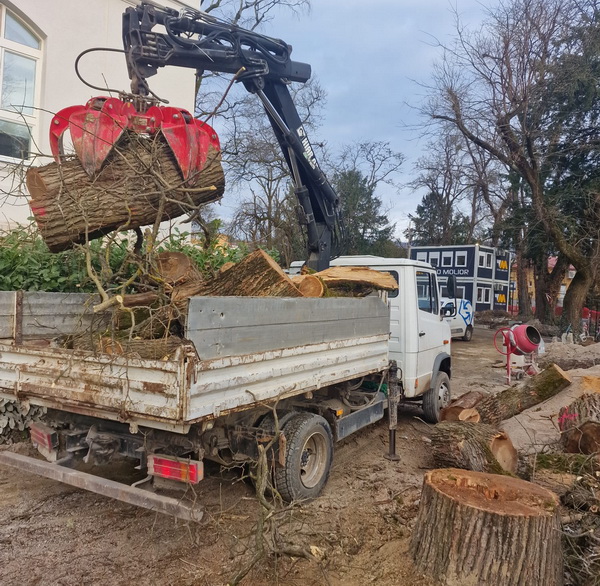 Odvoz debla drveta