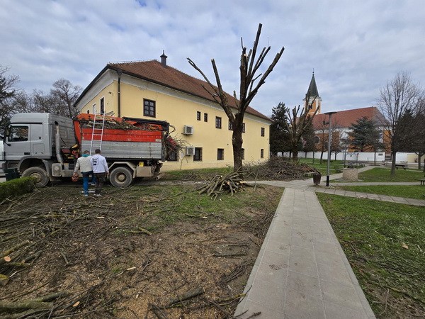 Odvoz granja nakon orezivanja