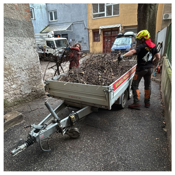 Odvoz granja auto prikolicom