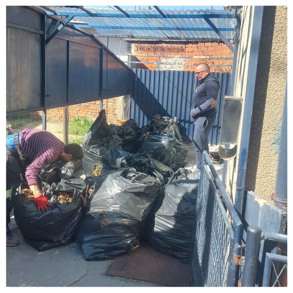 Odvoz lišća u vrećama
