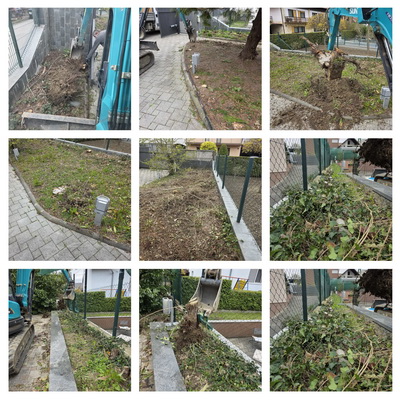 Čupanje panjeva od čempresa i odvoz