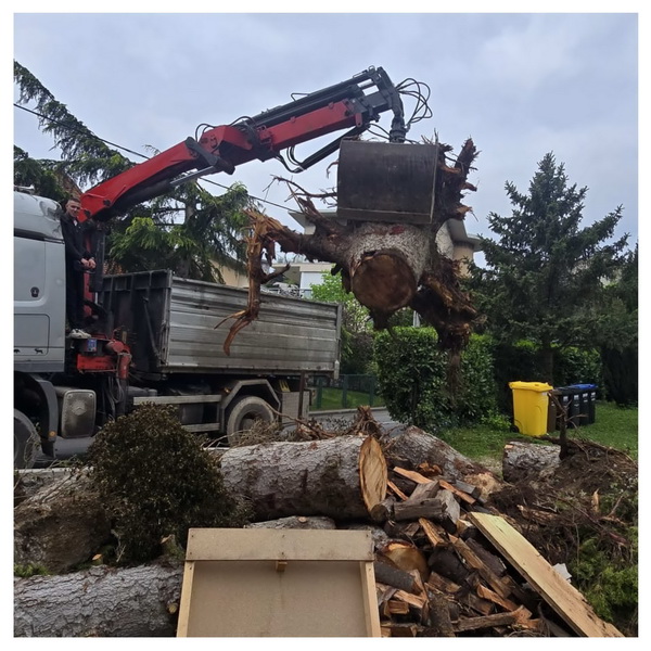 Odvoz panja i granja